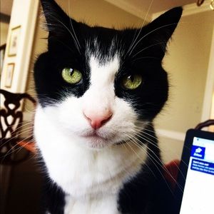 Meet your Posher, Becca